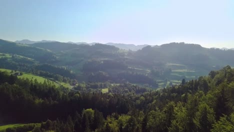 Flight-over-a-forest-to-a-road-and-a-village-in-the-beautiful-Switzerland