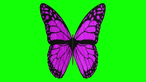 ilustración 3d - videos. mariposa de colores con las alas abiertas