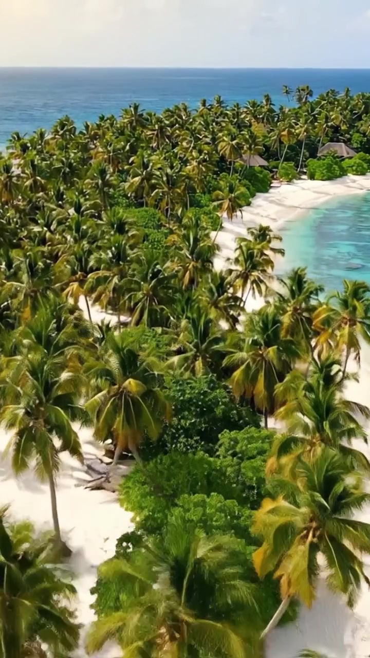 Veduta Aerea di Lussureggiante Isola Tropicale Circondata da Acque Cristalline e Fitte Palme Sotto un Cielo Luminoso
