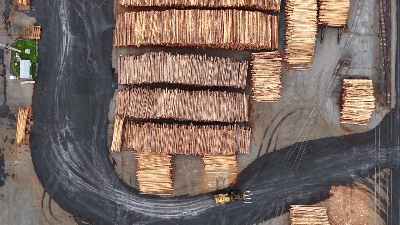 Overhead view of massive timber log stacks arranged in rows on wet industrial port yard with curved vehicle tracks and small wheel loader below. Olympia, Washington, USA. Aerial view. Top down Shot.