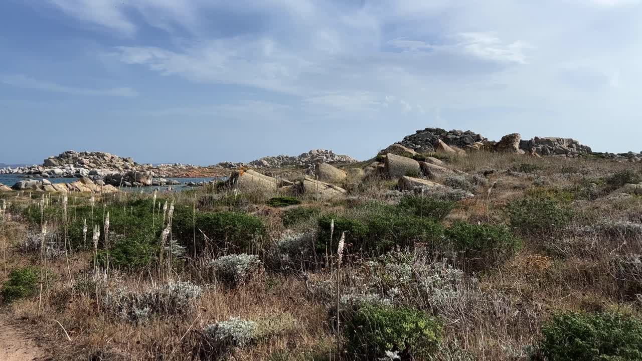 코르시카와 사르데냐 사이의 라베찌 프랑스 섬의 야생 풍경, 패닝 뷰