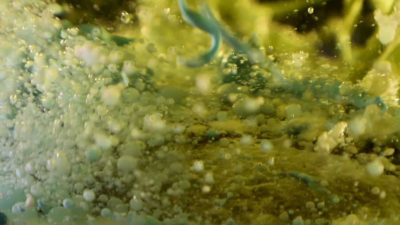 experimento científico botánica líquida con burbujas explosivas y movimiento de escombros 60fps