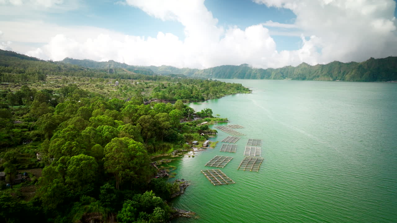 aérea sobre la granja de peces de acuicultura en las aguas contaminadas verdes del lago batur bali