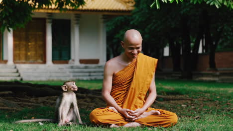 monk and monkey in a temple garden