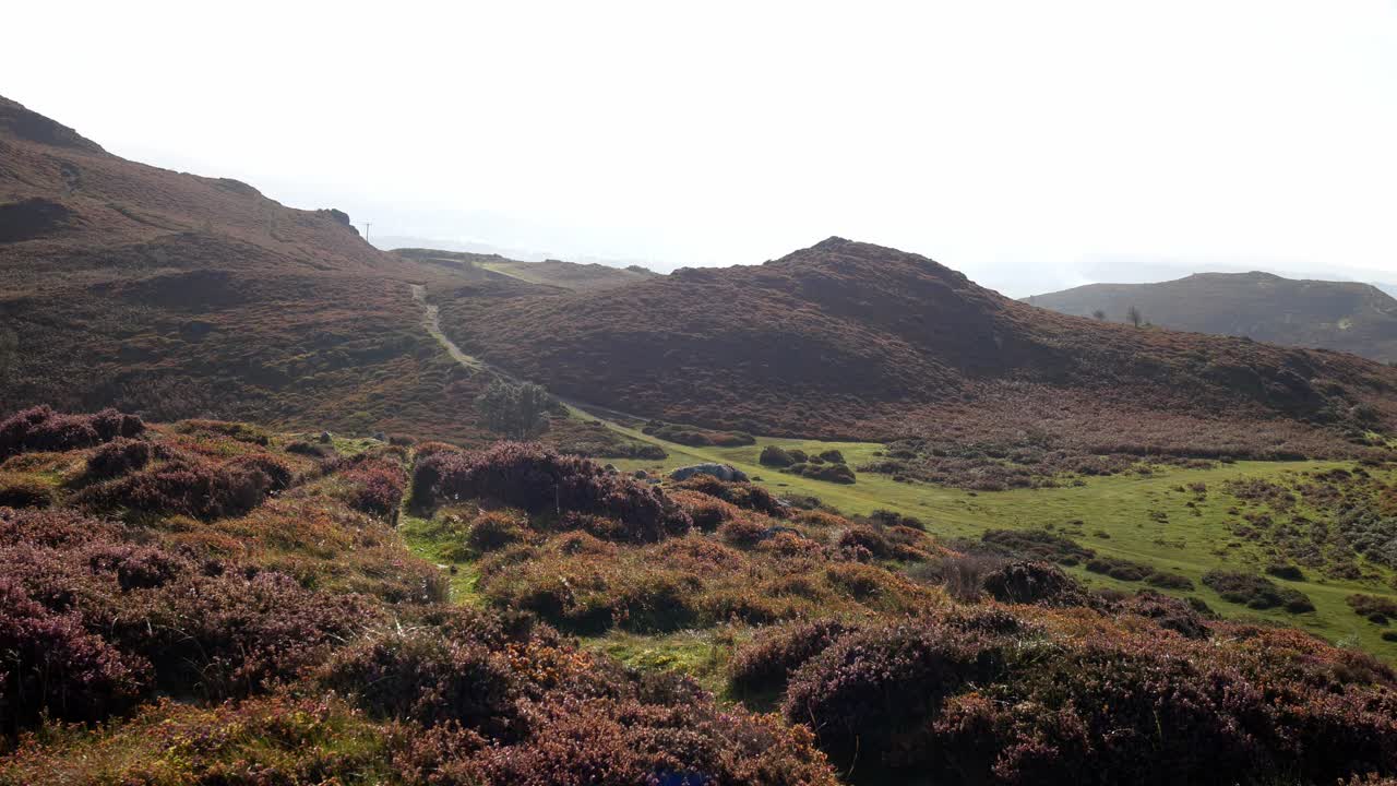 다채로운 경치 좋은 헤더 광야 넓은 돌리 오른쪽으로 덮인 시골 웨일스 산 계곡