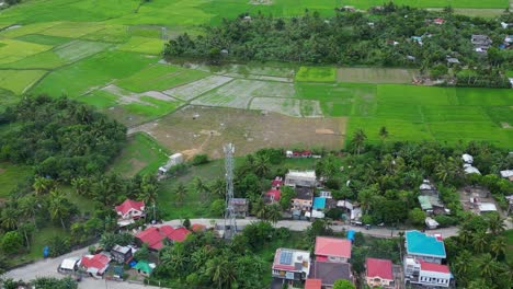 aerial pullback of telecommunications tower and small houses in quaint village with rice paddies in virac, catanduanes