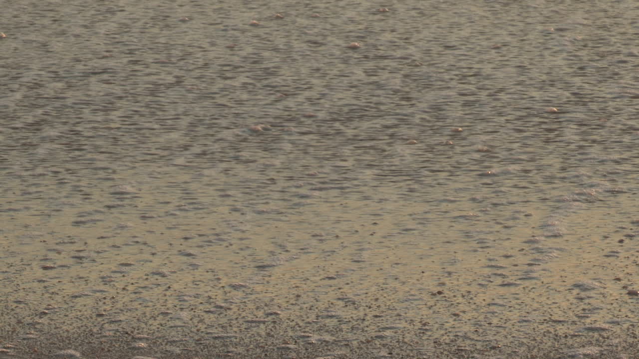 바다 파도의 움직임, 물의 거품이 사라져  ⁇ 은 모래의 질감을 보여줍니다.