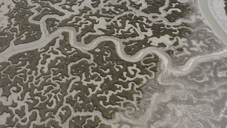 aerial view of intricate tidal flats