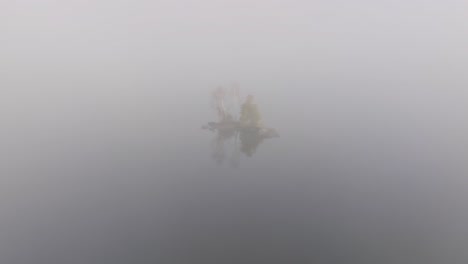Tiny island with sparse trees dissipates into the fog