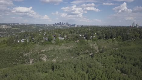 city skyline from a hilly park