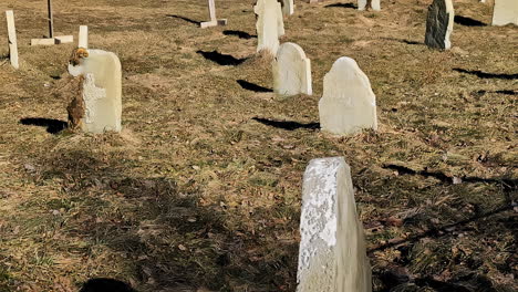 Ancient-cemetery-graveyard-with-old-gravestones-for-people-buried-long-ago