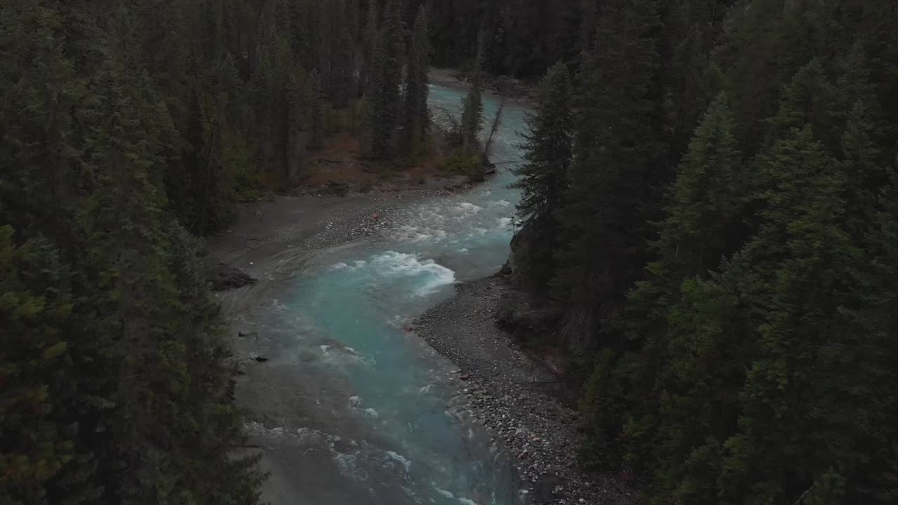 Riprese aeree con drone di un fiume e una foresta avvolti da una nebbia suggestiva in Columbia Britannica