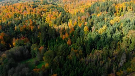 Vista-Aérea-De-Drones-Del-Bosque-De-Follaje-Otoñal