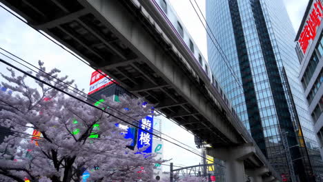 tokyo's cherry blossom season with a view of the subway