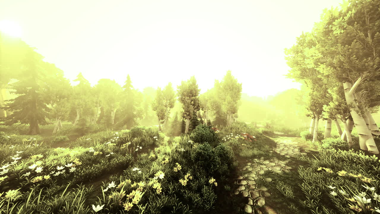 Golden light bathes a tranquil forest path in the early morning mist of spring