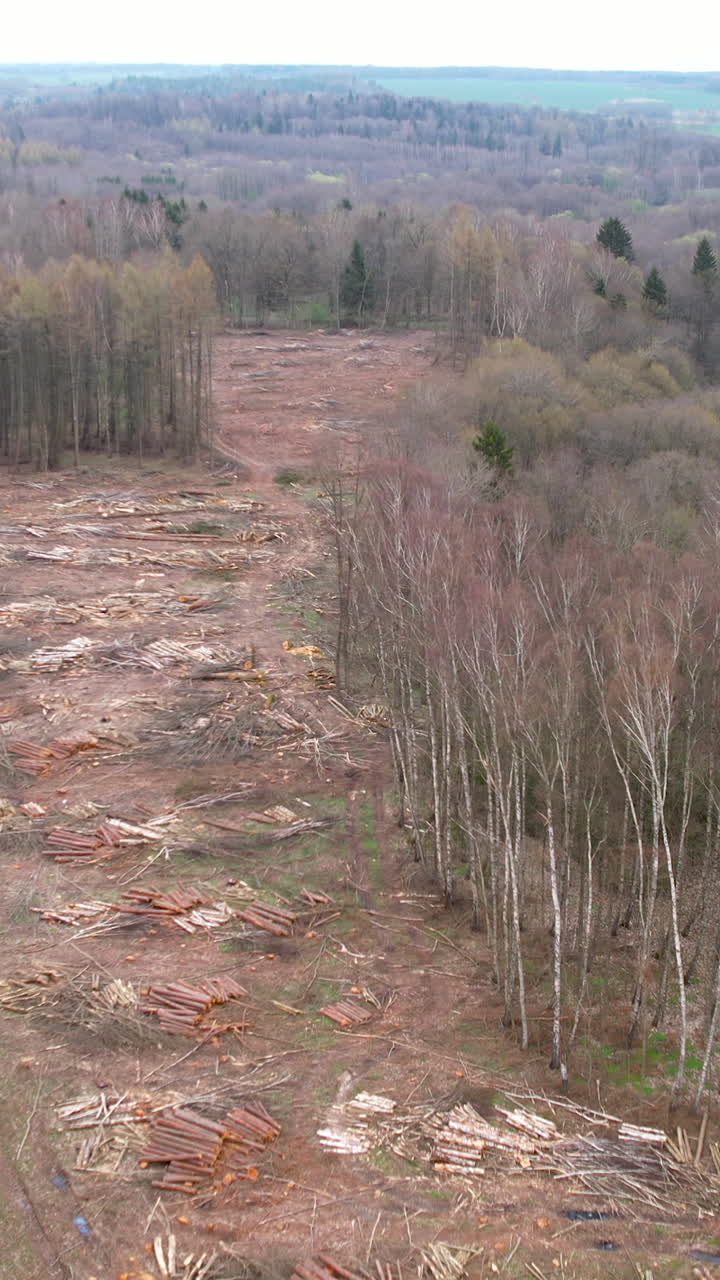 High angle aerial shot showing significant tree removal and logging operations within a dense forest, highlighting environmental impact and industrial timber harvesting