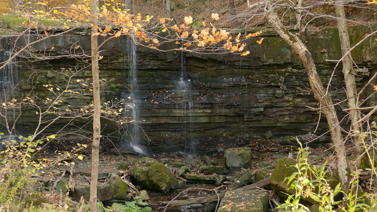 cascada pacífica que fluye detrás de hojas de otoño naranjas