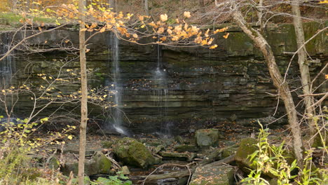 Cascada-Pacífica-Que-Fluye-Detrás-De-Las-Hojas-De-Otoño-Naranjas