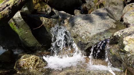 water flowing over rocks covered by moss in the forest of the olympic national forest