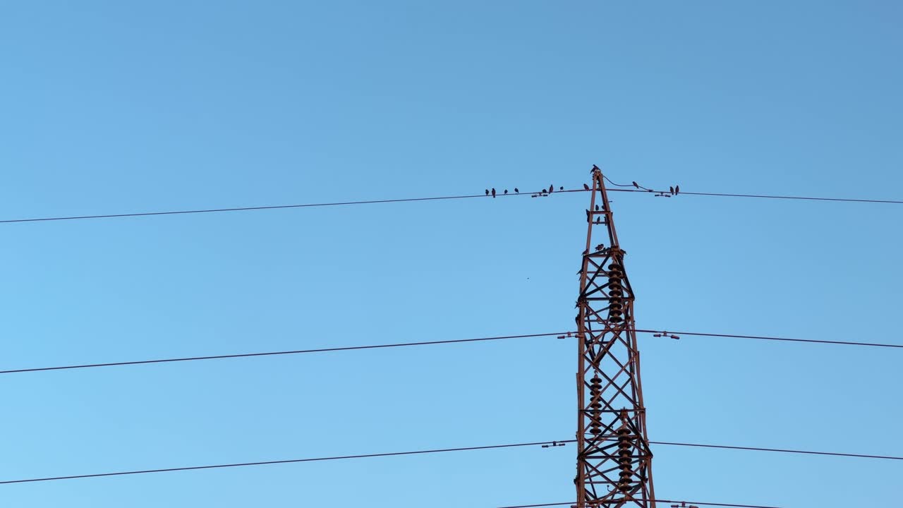 Birds sitting on the high voltage power line, Birds sitting on High-voltage pylon in the evening