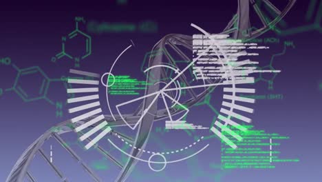 Modelo-De-ADN-En-Movimiento-Y-Diagrama-Circular-Blanco-Con-Datos-Verdes-Sobre-Gris-Oscuro