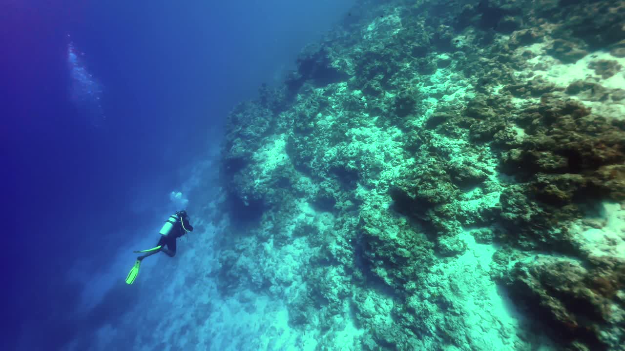 Scuba diver discovering dive site near Mnemba Island, Zanzibar, Tanzania.