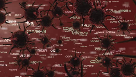 animation of covid-19 cells spreading over information written in white letters