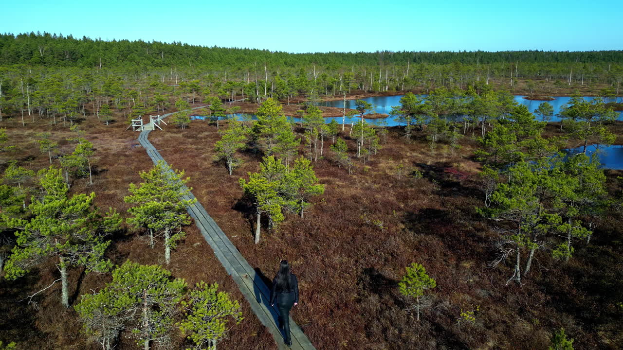 Countryside landscape Drone following road through autumnal forest lake village Aerial View Skyline in Sunny Hopeful Morning