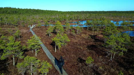 countryside landscape drone following road through autumnal forest lake village aerial view skyline in sunny hopeful morning