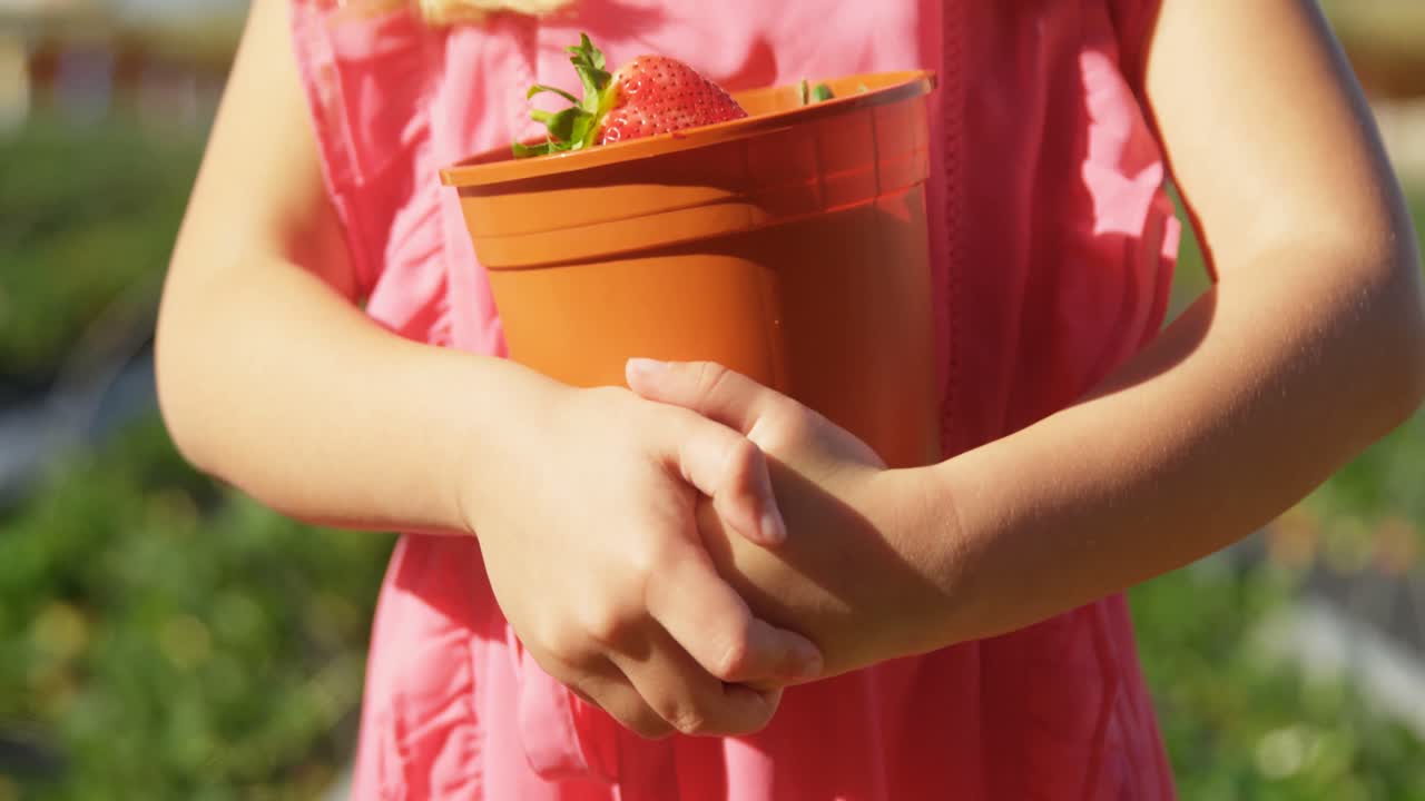 농장 에서 딸기 로 가득 찬 버 ⁇  을 들고 있는 소녀 4k