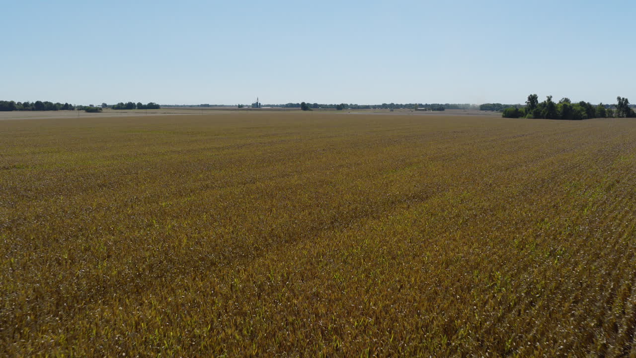 Flight Over Corn Field In Missouri, USA - Drone Shot