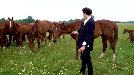 Hungarian-akhal-teke-horses-with-the-poet,-Sandor-Petofi