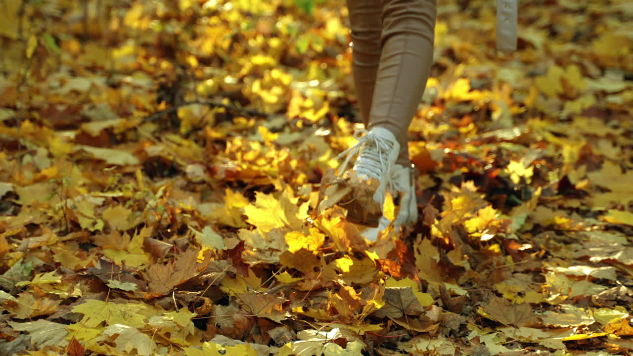 Woman walking through a forest filled with autumn leaves