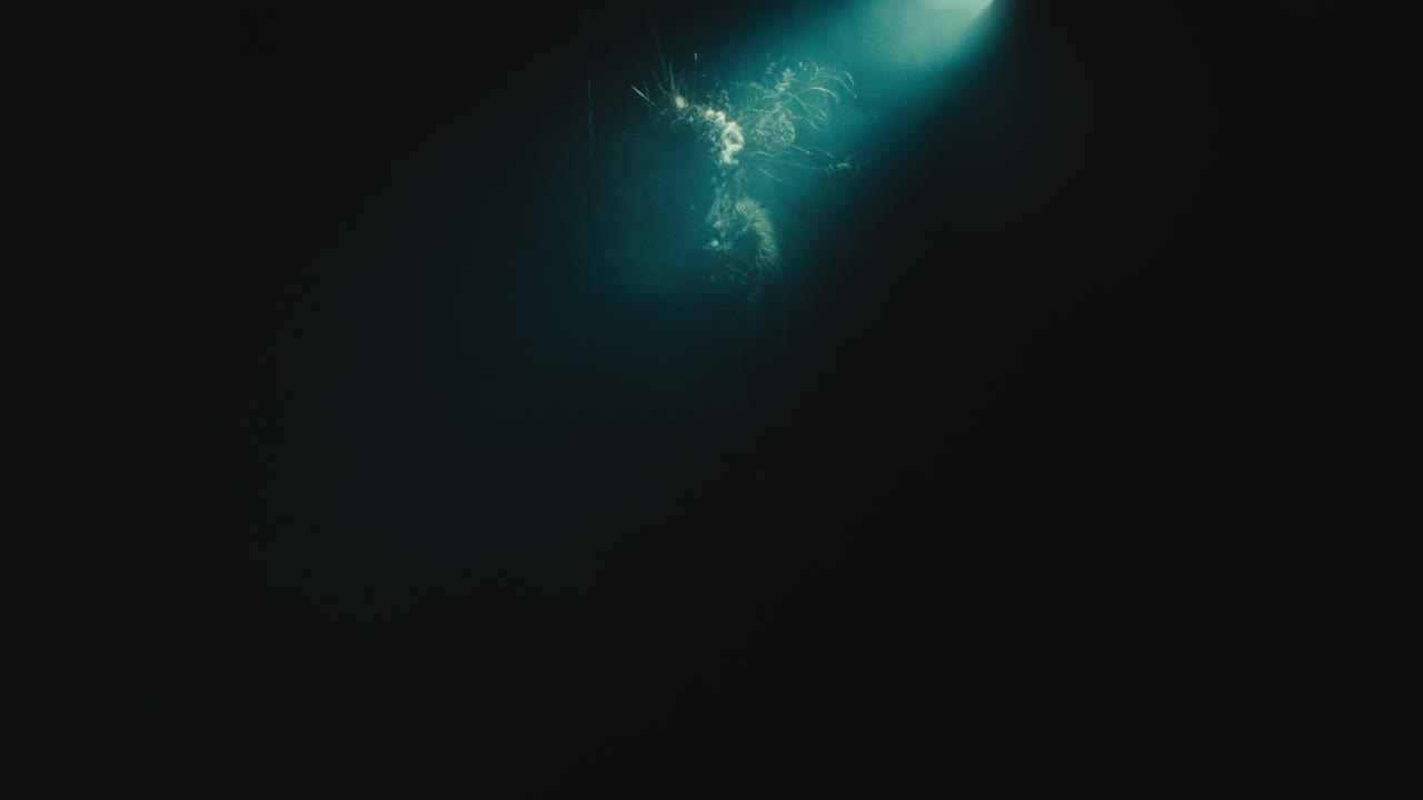 A creepy witch rises her head during the night storm