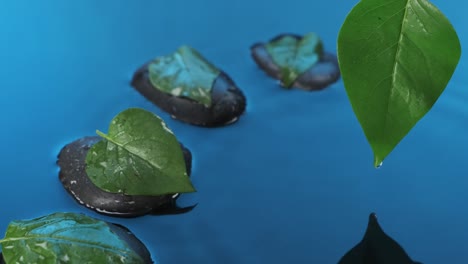 gotas que gotean de una hoja verde, gotas que caen en el agua azul.