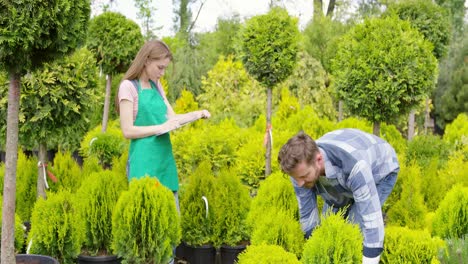 Man-and-woman-professional-gardeners-with-small-potted-tree-in-the-garden