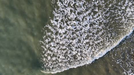 overhead drone footage captures turquoise ocean waves rolling and breaking against a rocky coastline in port douglas, australia, under natural daylight with smooth camera movement