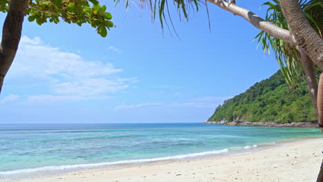 A-white-sandy-beach-is-framed-by-tree-trunks