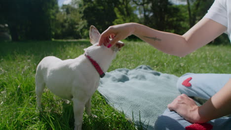 woman and her dog having a picnic in a park