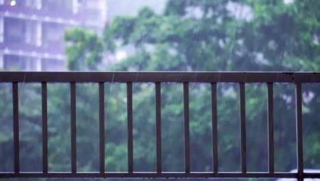 rainy day with dirty area pan up to tree blowing in the wind shallow depth of field