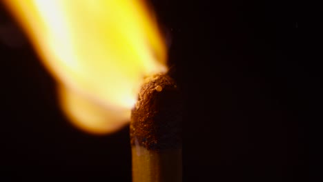 close up of one match head burning on black background. matches lighting in slow motion. fire ignition with matches. macro view.