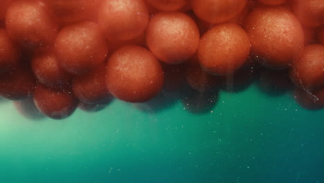 close-up view of red spheres submerged in water
