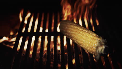 one cob of corn is fried on a hot grill