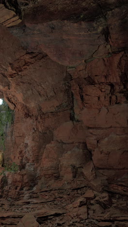 a close-up of a red rock cave