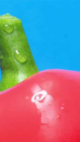 closeup of red pepper with green stem on blue background an artistic macro photograph showcasing a close up of a red pepper with a green stem on a vibrant blue background