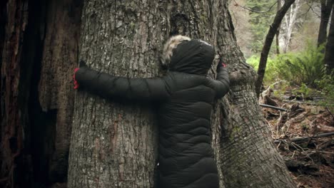 mujer abrazando un arbol