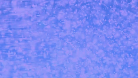 partículas blancas, nieve, brillo, polvo cayendo sobre el fondo azul de la clave de croma