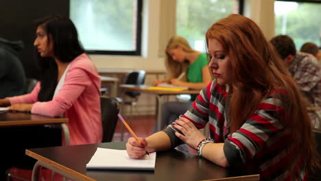 Konzentrierte-Schüler-Sitzen-Im-Unterricht-Und-Machen-Sich-Notizen