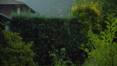 Imagínate-Sentado-Bajo-Un-Porche,-Está-Lloviendo-Y-Estás-Rodeado-De-Naturaleza