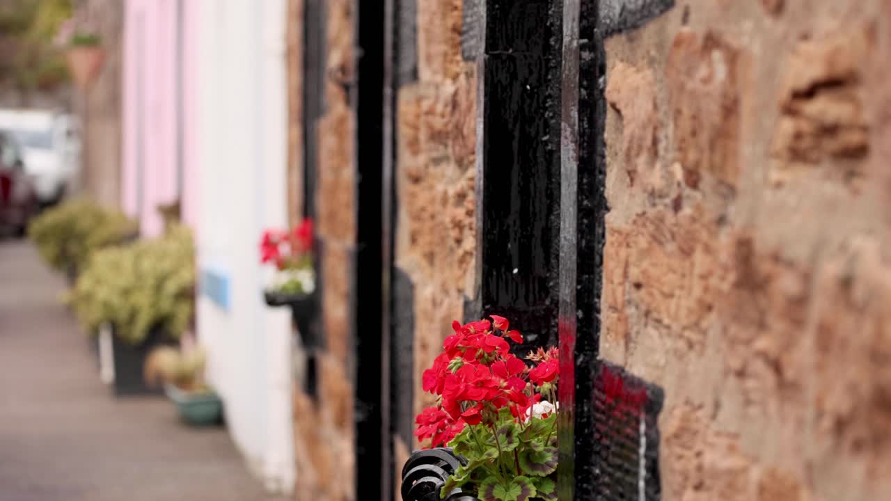 은 게라니움 이 돌 벽 을 장식 하고 있다